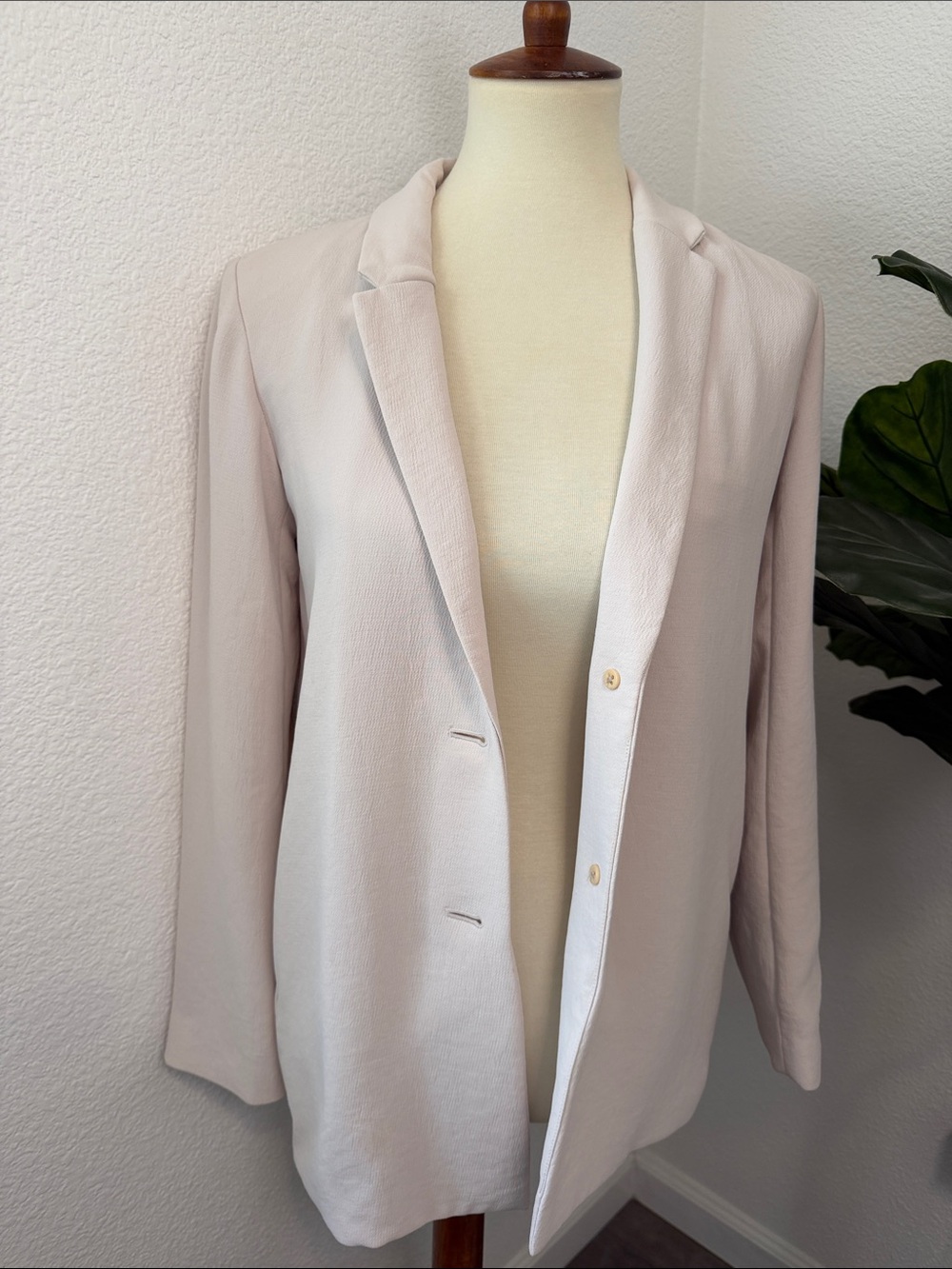 Aritzia Button Blazer - Picture 3 of 16